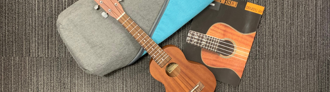 Ukulele kit
